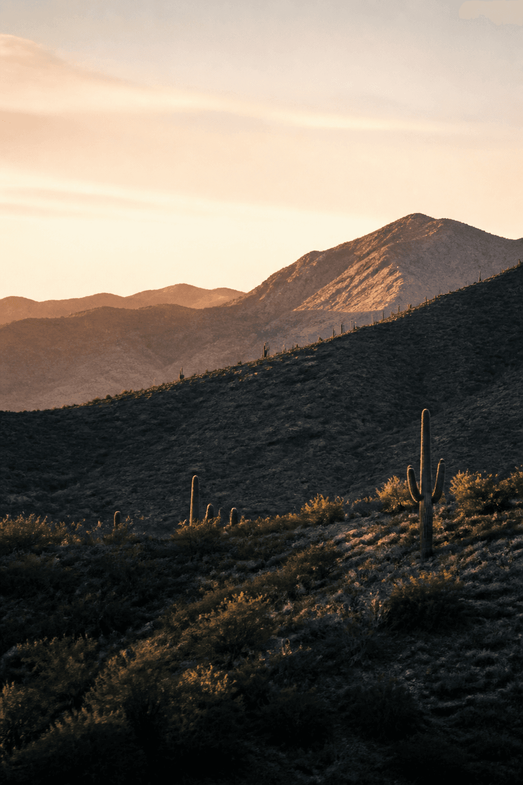 Quiet Arizona desert hills at dawn